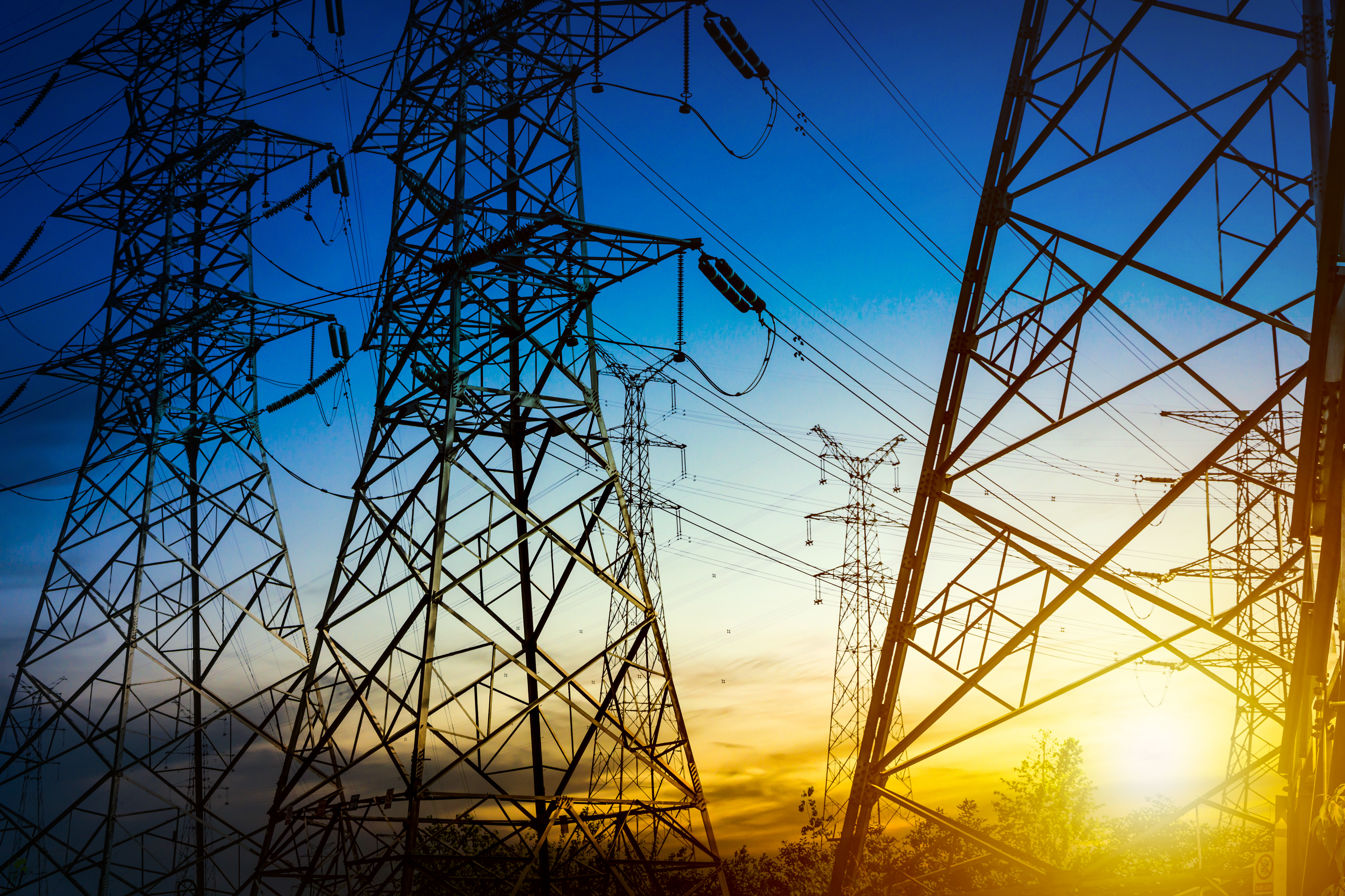 Quality, Procurement & Commissioning Services